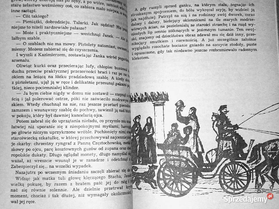 Trójkolorowa kokarda Jadwiga Chamiec miękka Chełm