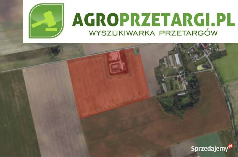 Dzierżawa 833 ha gruntu rolnego Grunty i działki Chełmno