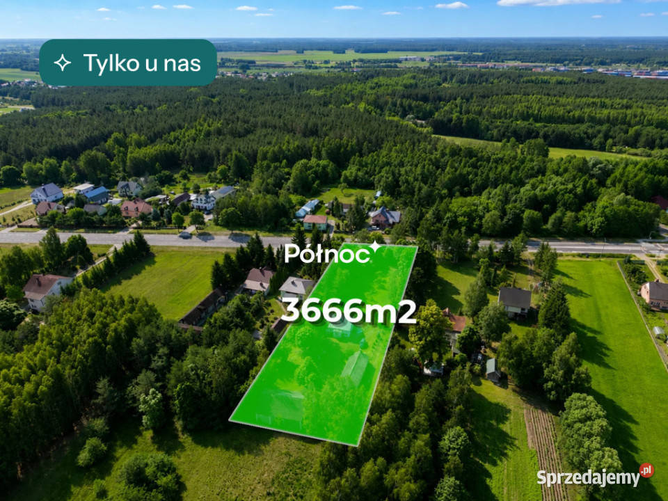Drewniany dom z dużą działką Małaszewicze Małe 90m2 Sprzedaż