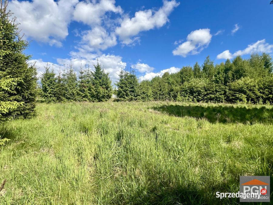 Grunt Kamień Pomorski 4500m2 szambo sprzedam