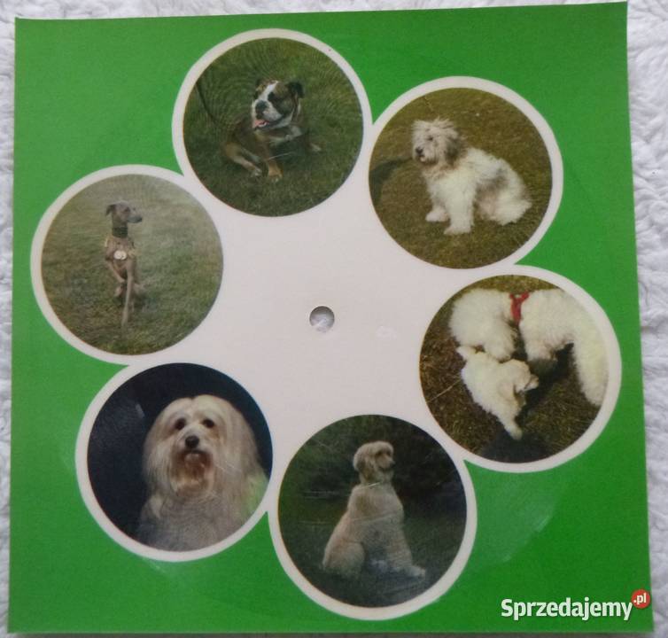 Pocztówka dźwiękowa 1979 Cherry Laine A night in Warszawa