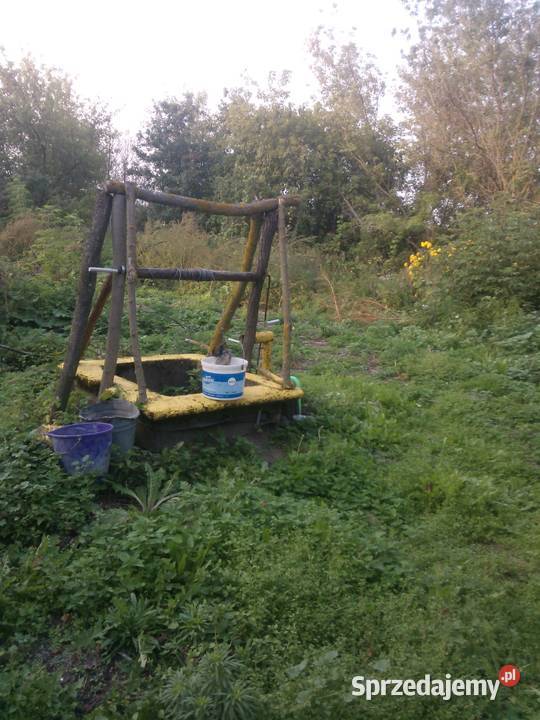 Działka siedlisko Ciechanowiec sprzedam