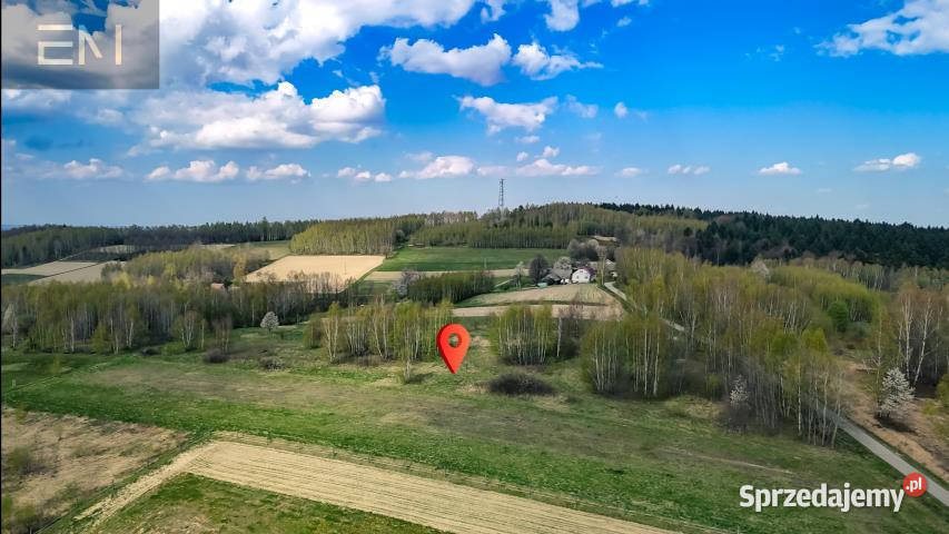 Grunt 4700m2 Gwoźnica Górna Sprzedaż sprzedam