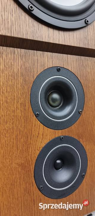 Dynaudio MSP 200 Kolumny muzyczne hifi Jelenia Góra