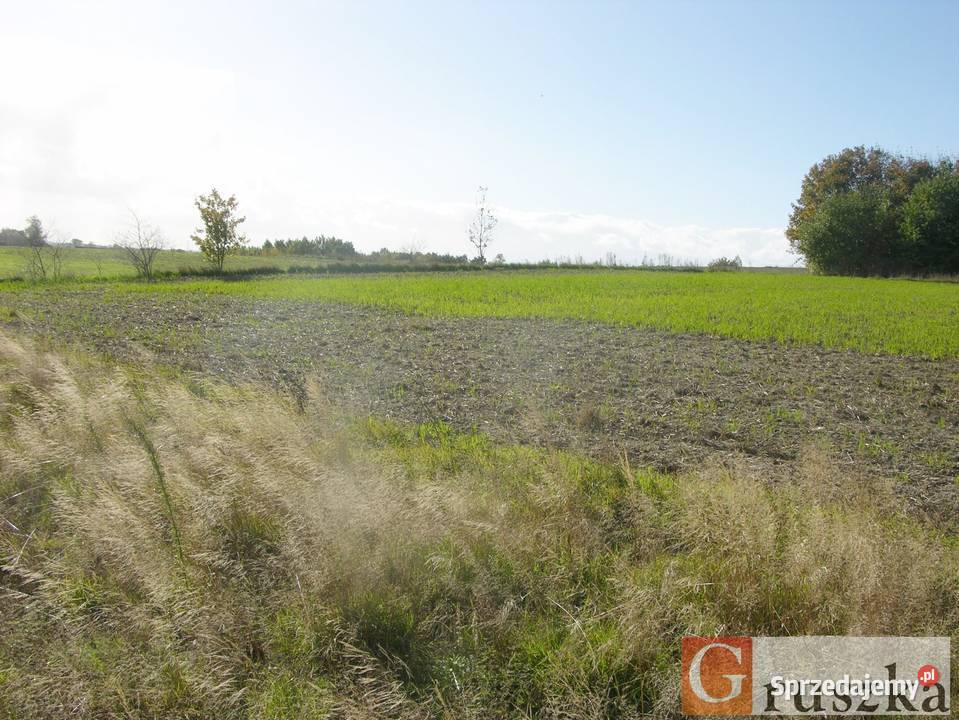 Działka w Szemudzkiej Hucie 149 M2 prąd Szemudzka Huta