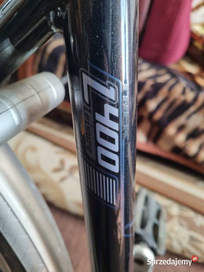 Rower TREK L400 turystyczny Nexus Sosnowiec