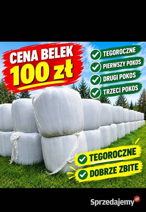 Sprzedam belki możliwa zamiana na cielaki Trawy, słoma Myszyniec sprzedam