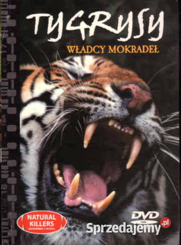 TYGRYSY Władcy mokradeł film na DVD przyrodniczy Chorzów