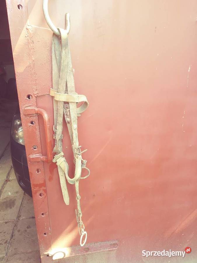 Uprząż musztug kantar lejce Pyrzyce