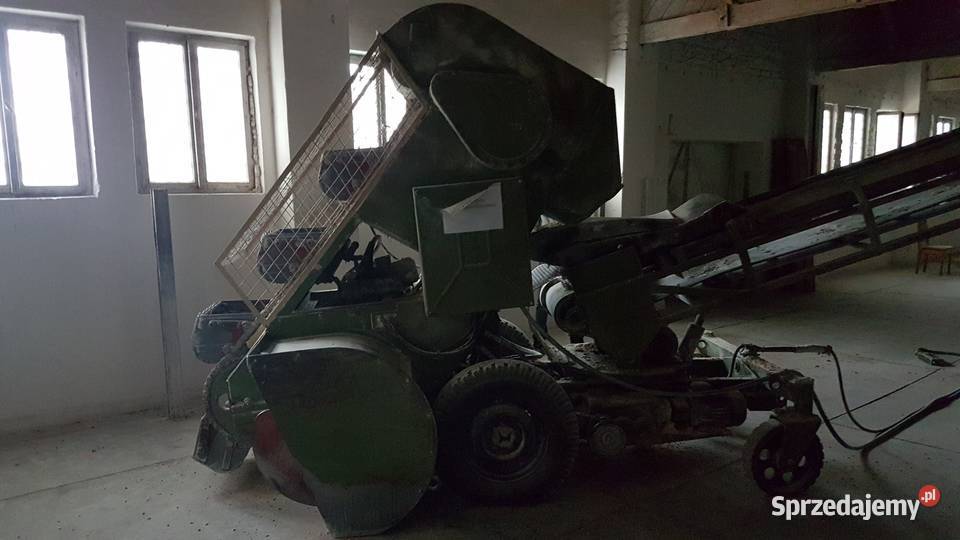 Kombajn załadunek zboża Taśmociąg Świder zbierak Wierzbica