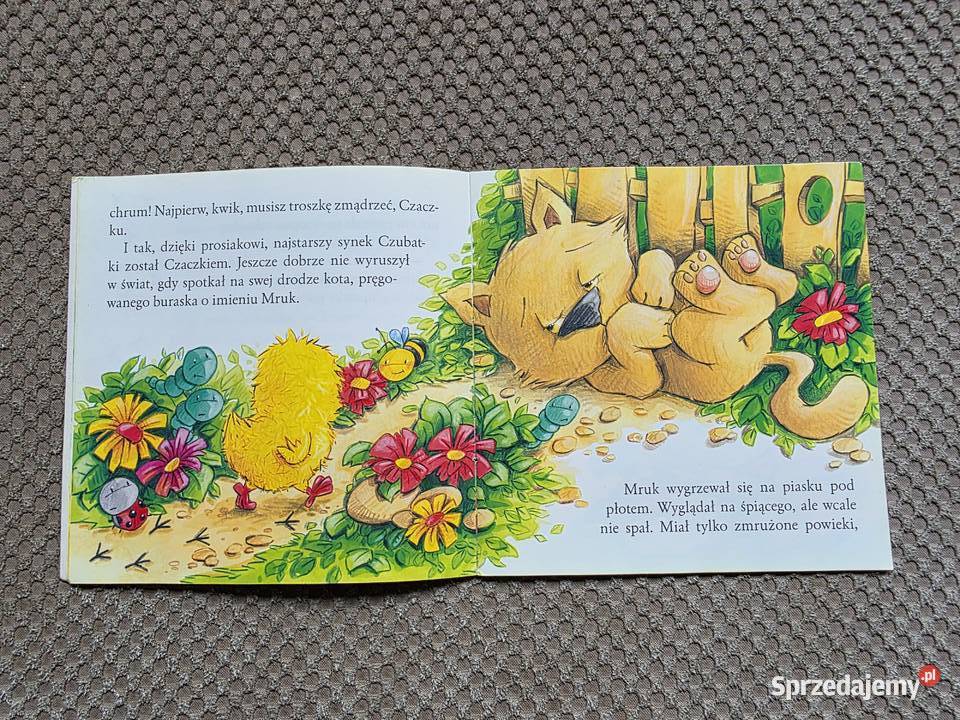 Kurczaczek Czaczek Mariusz Niemycki Kraków