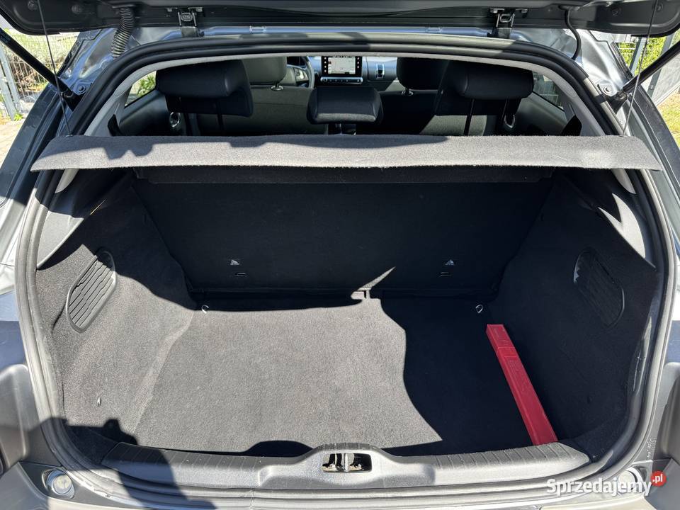 Citroen C4 Cactus 16 HDI Zarejestrowany Bogata poduszka powietrzna Chodzież