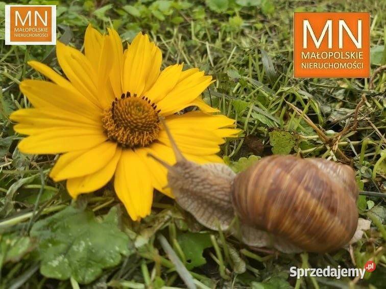 Dom wolnostojący Januszowice 100m2