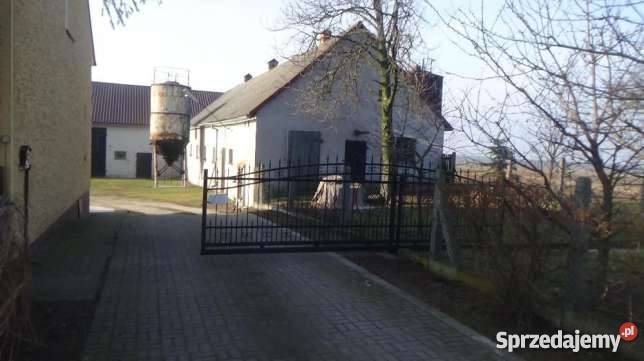 Gospodarstwo rolne 7 ha z budynkami kujawsko-pomorskie Dobrzejewice sprzedam