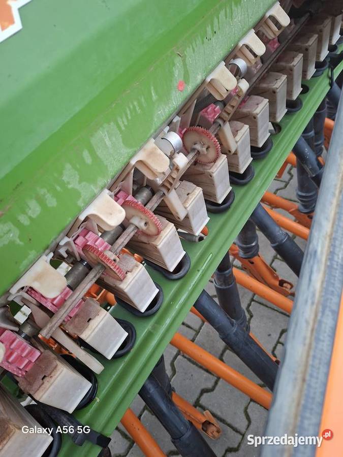 Siewnik amazone d9 specjal Września sprzedam
