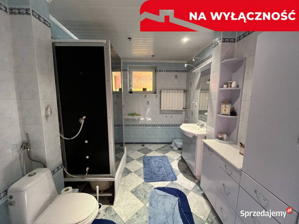 Dom 286 mkw z częścią handlową 230 mkw w Dęblin