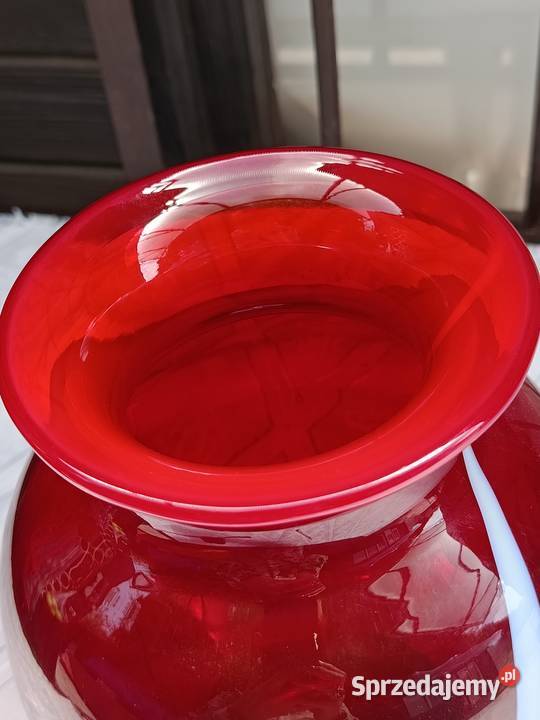 Butla Cynthia mazowieckie Warszawa