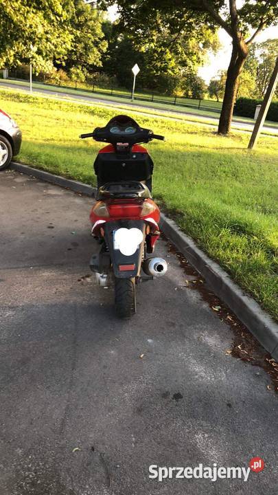 Skuter Kingway Mosquito 5075 Bukowski Las