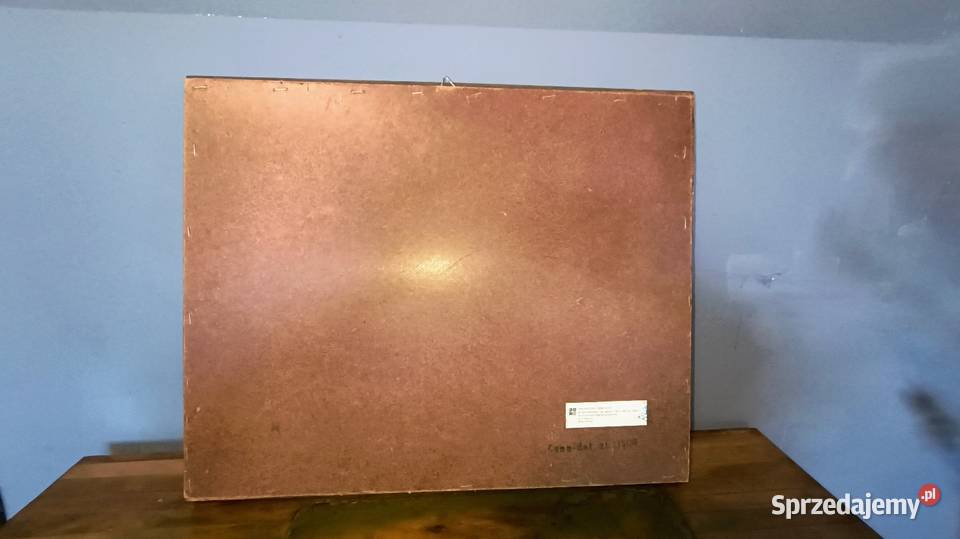 Piękny obraz okazja łódzkie