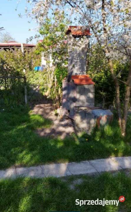 Działka Ogród Koszalin drzewa owocowe