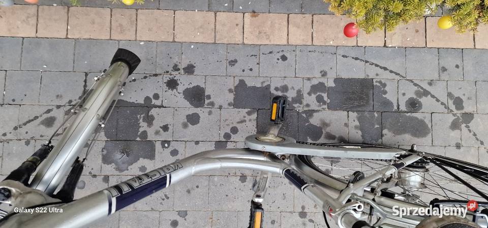 Rower damski Nowe Marzy