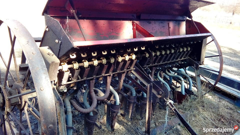 Sprzedam siewnik konny przerobiony do ciagnika Sadzenie/siewniki Nowy Bukowiec sprzedam