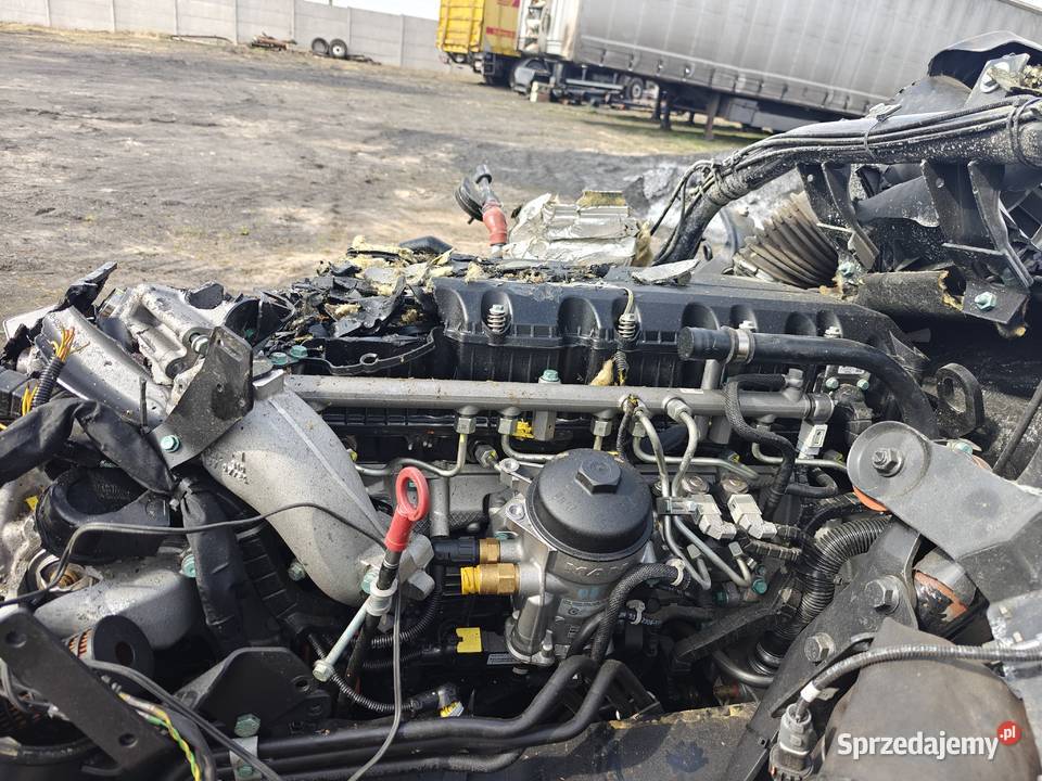 Man TGS 26330 2025r Chodecz