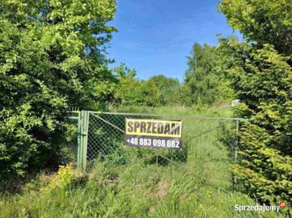 Drewniana ściana reprezentacyjna ekspozycja zachodniopomorskie Osina sprzedam