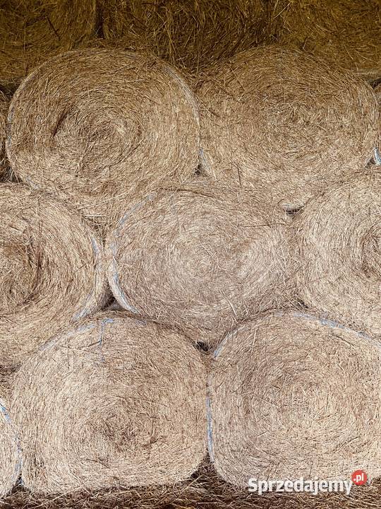 SIANO EKOLOGICZNE Straszydle