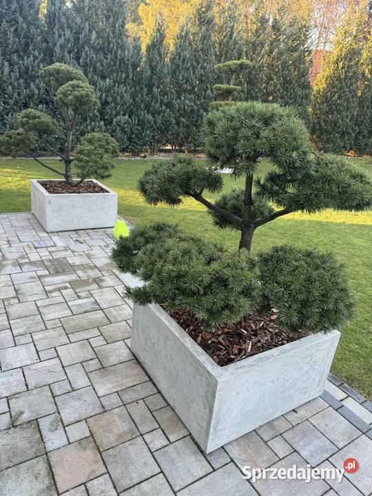 Donice ogrodowe termo Beton architektoniczny