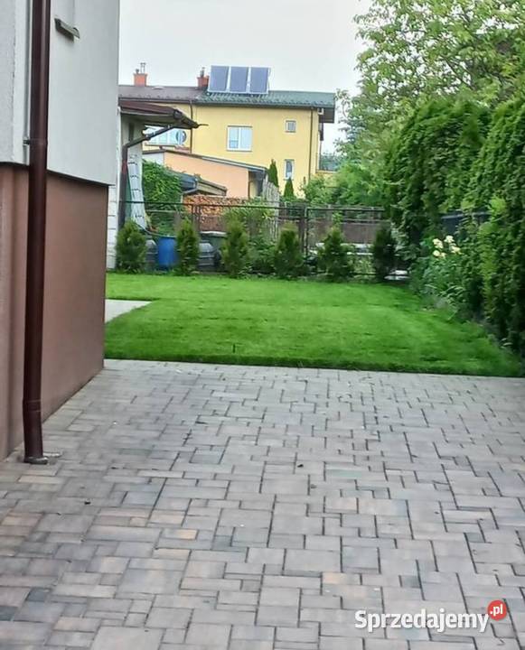 UPRAWA PRZYGOTOWANIE GLEBY KURÓW PUŁAWSKIE Usługi ogrodnicze Brzozowa Gać