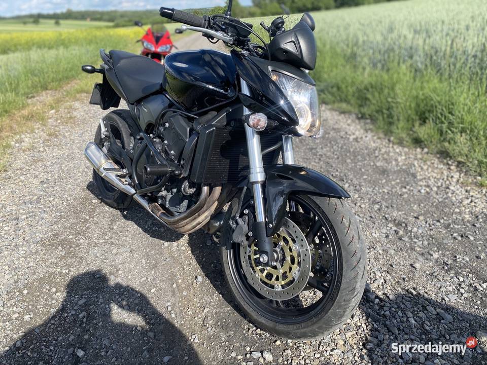 Honda Hornet pc41 nieuszkodzony Honda Lublin