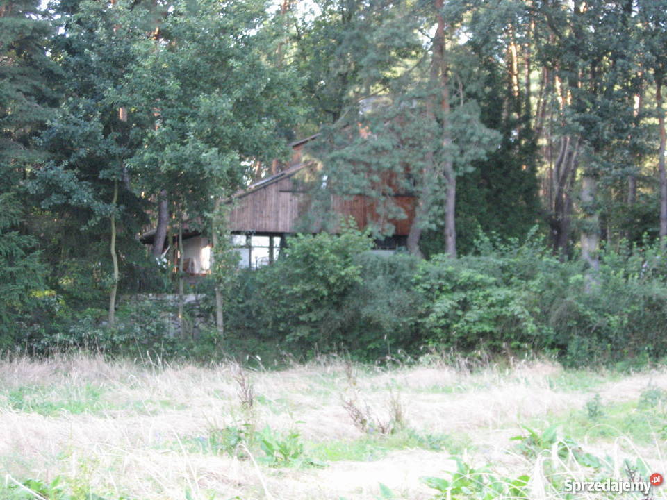 Piękna leśna działka z małym domkiem siatka mazowieckie Mniszew