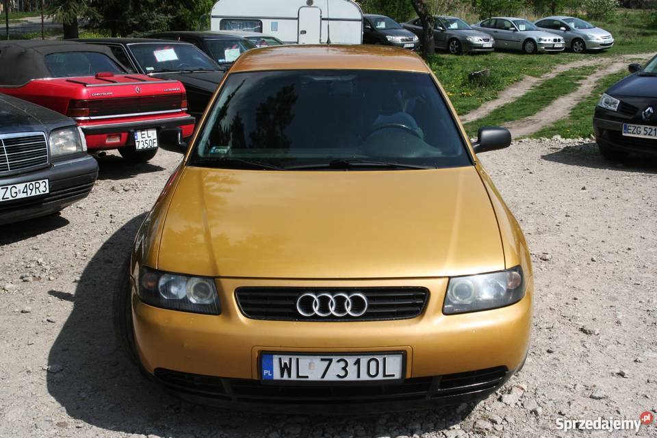 Audi A3 19 TDI 90 Klimatronik Zgierz