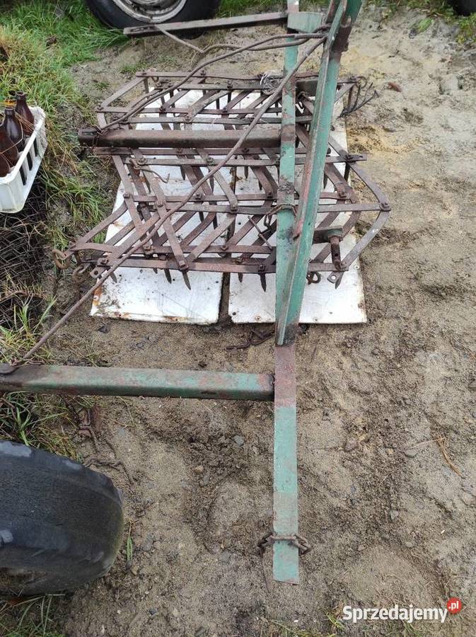 Brony trójki Jarosław