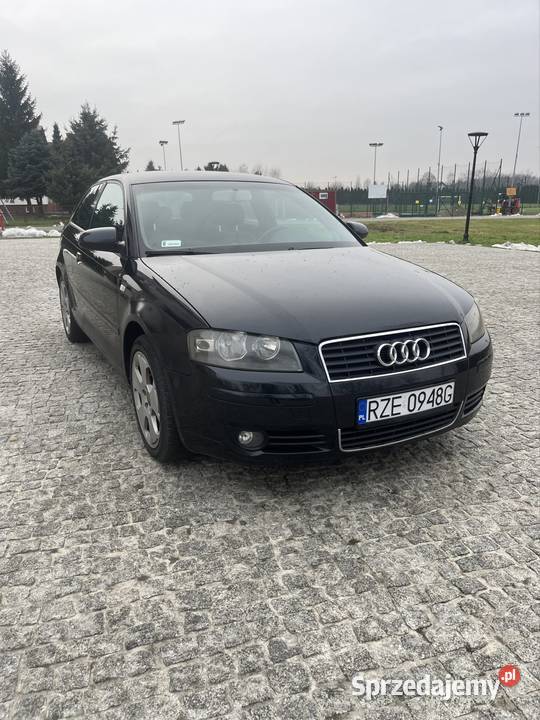 Audi a3 8p 19tdi 20tdi 105KM Rzeszów