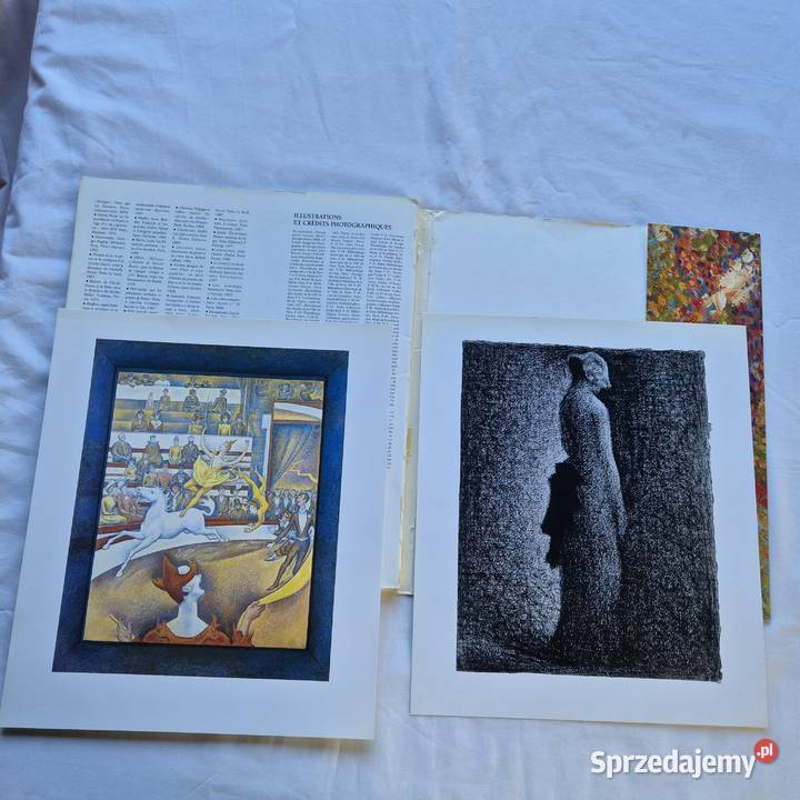 Georges Seurat album w jfrancuskim puentylizm sztuka i architektura Poradniki, albumy i reportaże Brzesko