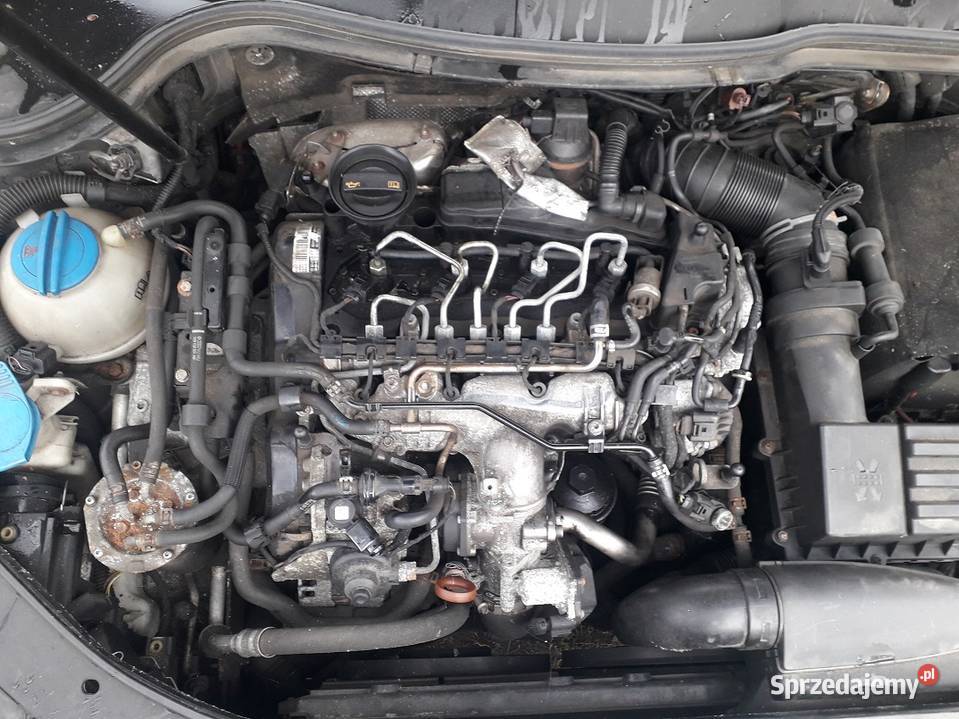 passat b6 20tdi kolor lc9z czytac opis Passat Biała Podlaska