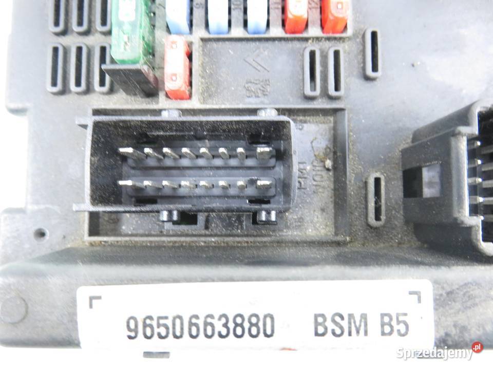MODUŁ BSM PEUGEOT 307 Break 3E 9650663880 małopolskie sprzedam