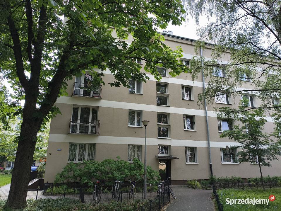 Wynajmę bezpośrednio mieszkanie 2pokojowe 384 m2 Liczba pokoi 2