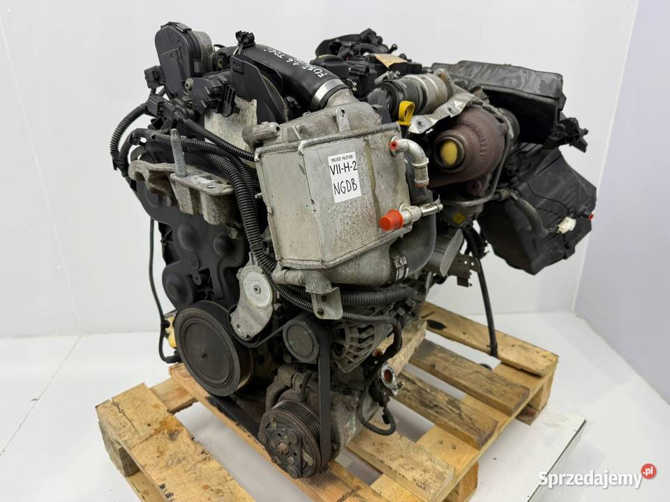 SILNIK NGDA NGDB Ford Focus III MK3 16 TDCI 105 Chełm