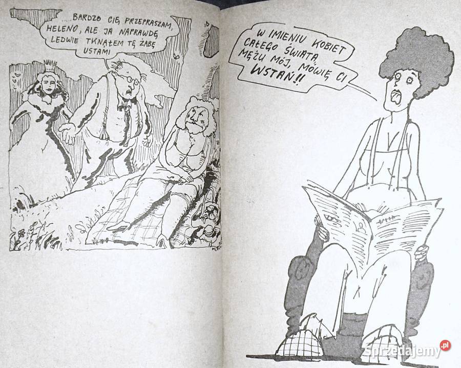 Obrazy Andrzej Mleczko Chełm sprzedam