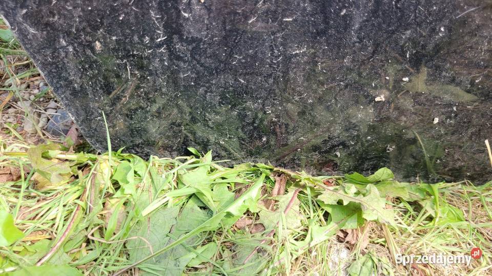 Drzwi Skoda Octavia I osobowe Drzwi Łagów