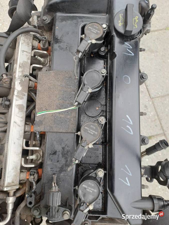 Ford Fokus 18 16V 125 silnik kompletny kod Q7DA śląskie