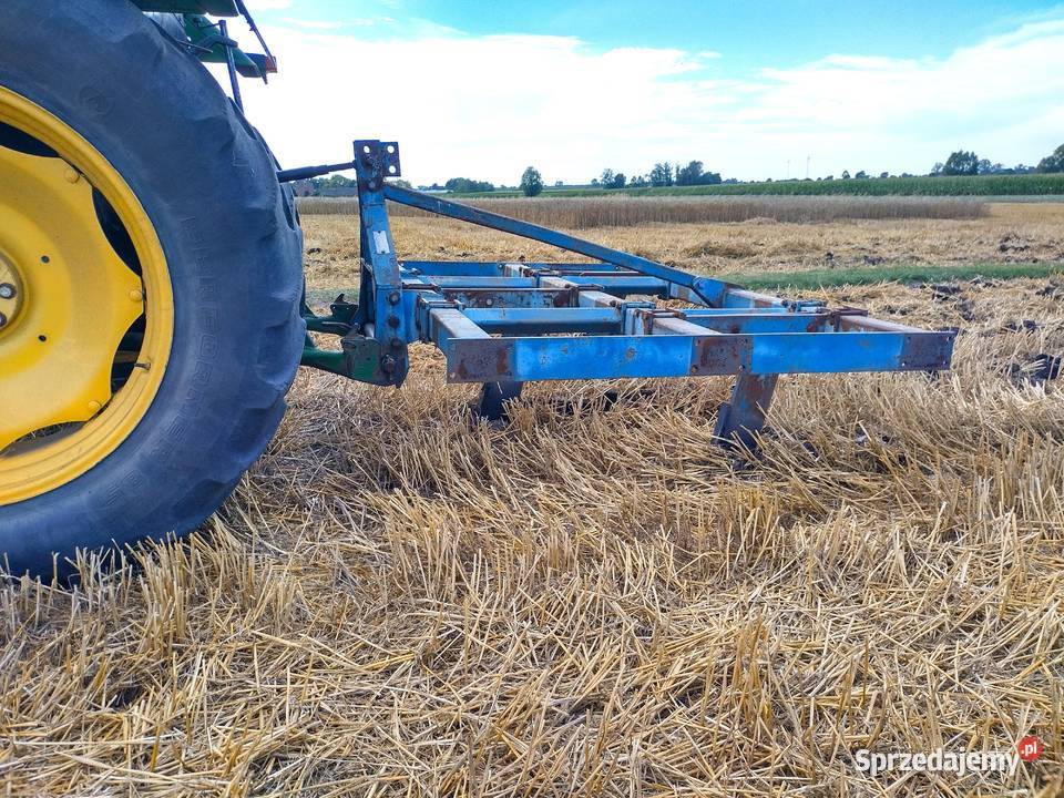 Głębosz Bonnel 3łapy Wola Bachorna