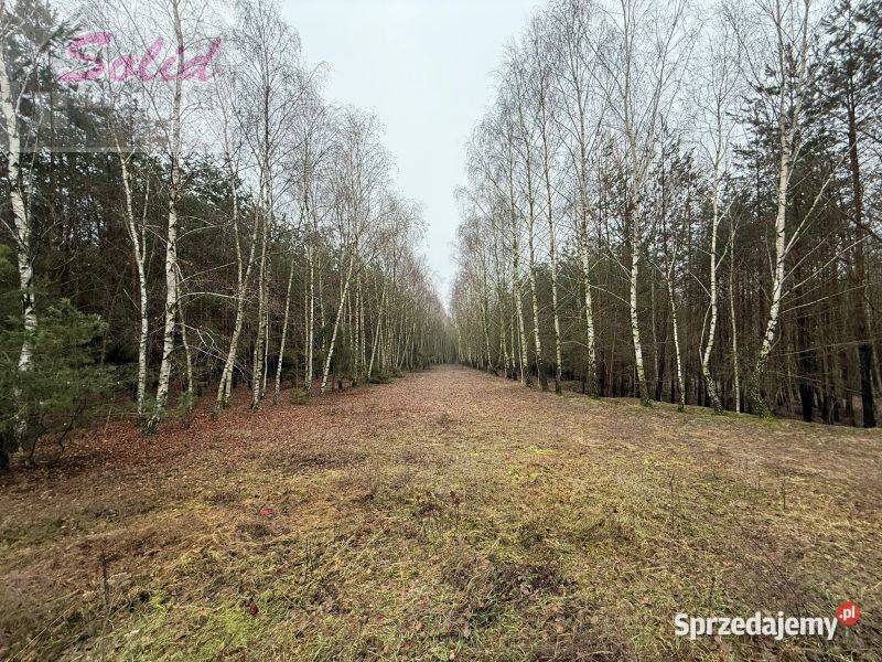 działka z warunkami zabudowy w spokojnej prąd kujawsko-pomorskie Stawek sprzedam