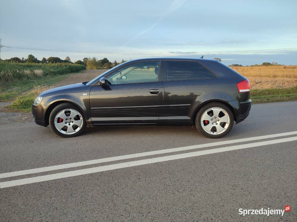 Audi A3 8p 16 manualna Kurów