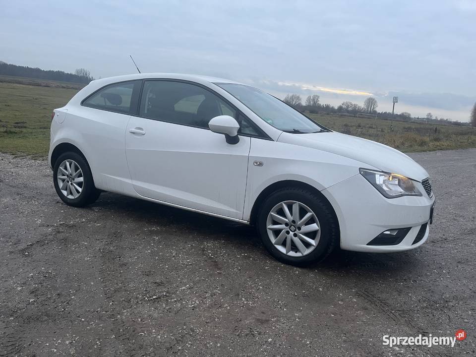 Seat Ibiza 2015 12 lift wielkopolskie