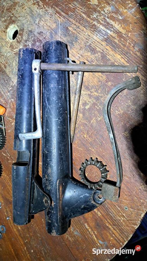 Pannonia chorągiewki Parciaki