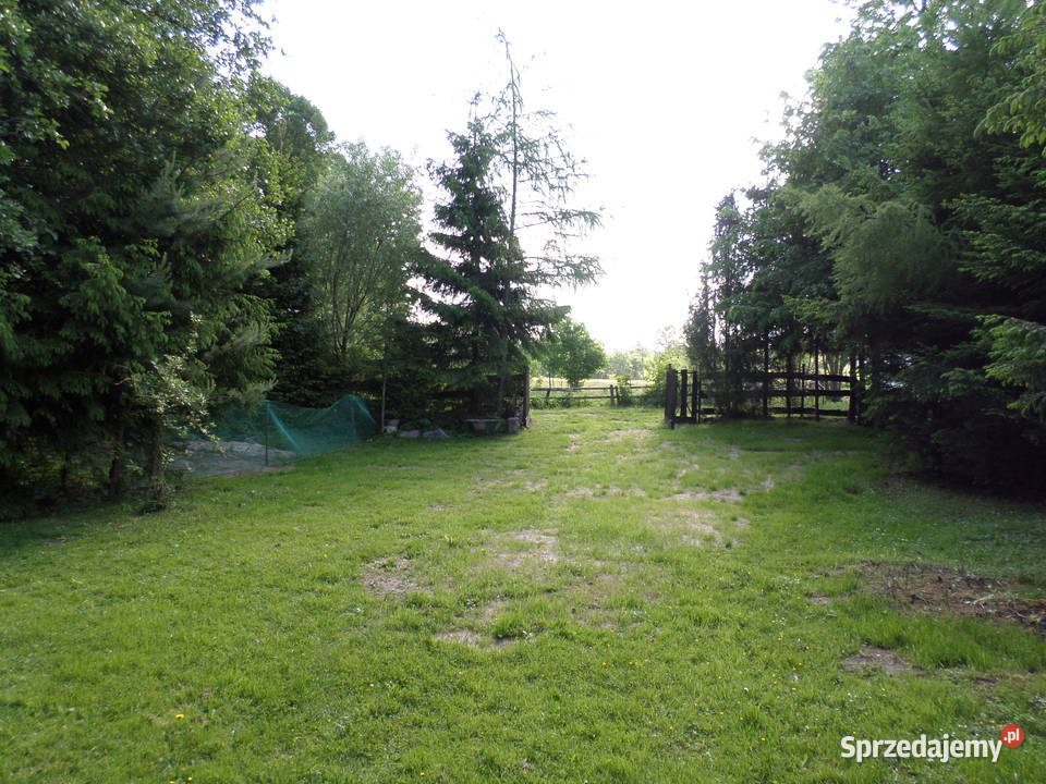 Mazurska działka w Strzelnikach z domkiem 1700m2 warmińsko-mazurskie Strzelniki